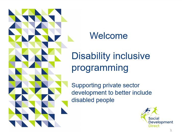 Query 32 - Disability Inclusive Programming Training For Private Sector ...